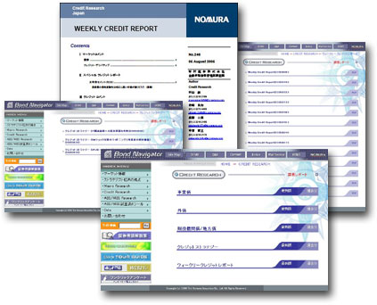 Credit Repair Report Software